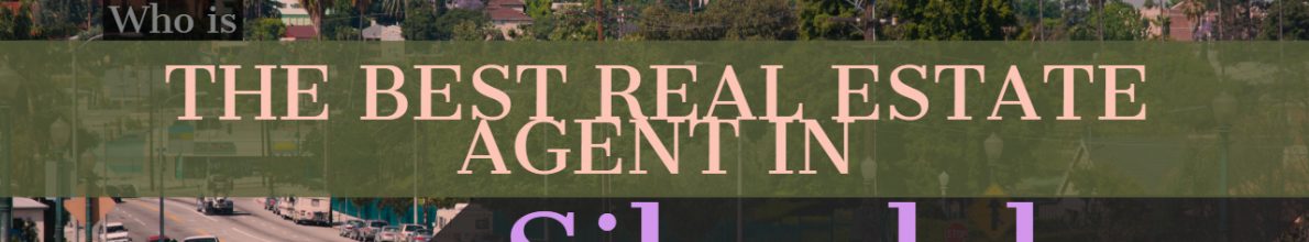 Who is the Best Real Estate Agent in Silverlake?